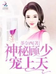 神秘顾少，宠上天